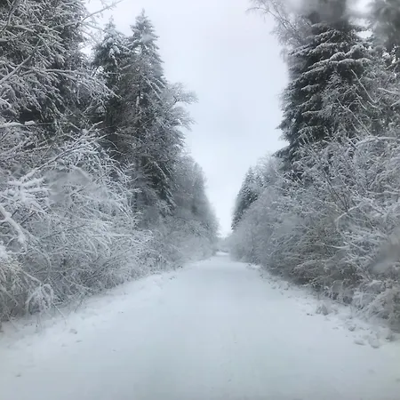 Cichotnia דירה סורקביטי