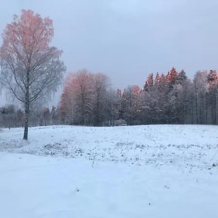 דירה Cichotnia *