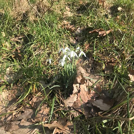 Cichotnia דירה *