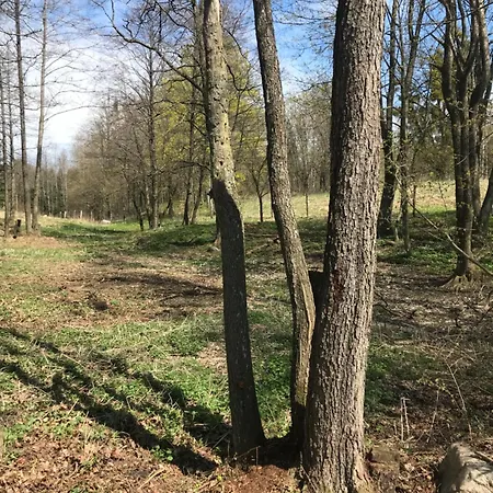 Cichotnia דירה סורקביטי