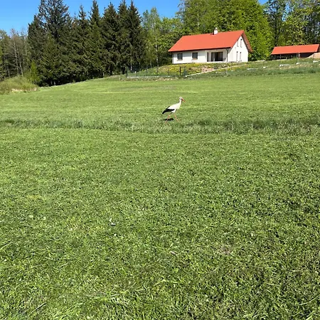 דירה Cichotnia *