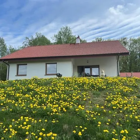 Cichotnia Sorkwity